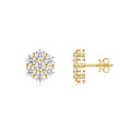 Neve Moissanite Snowflake Stud Earrings in Gold-Tone Sterling Silver