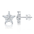Astrino Moissanite Star Stud Earrings in Sterling Silver